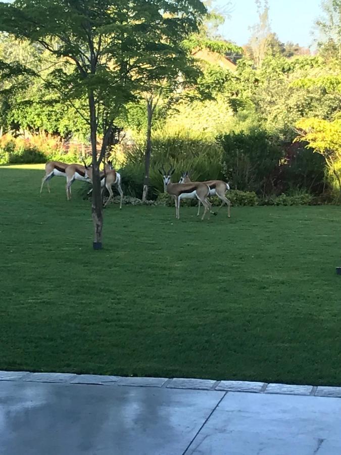 Addo Wildlife Βίλα Εξωτερικό φωτογραφία